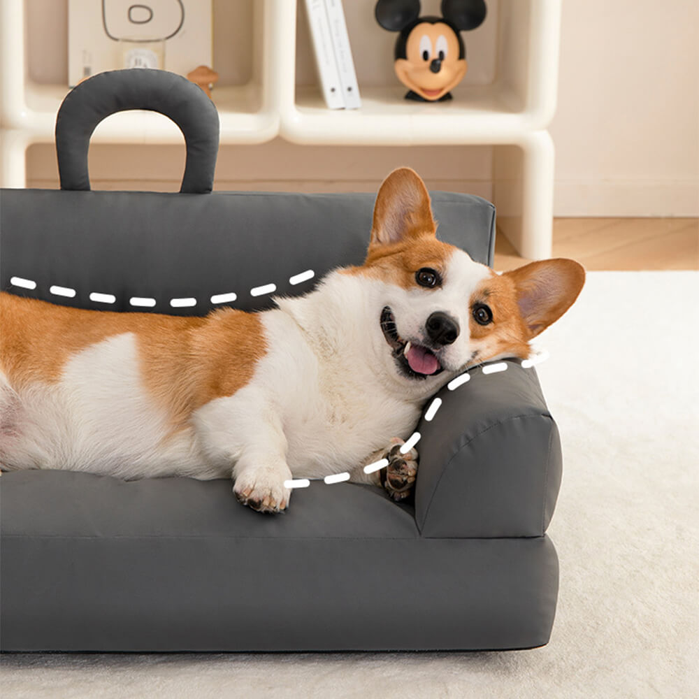 Cama moderna de sofá de respaldo de respaldo y gato