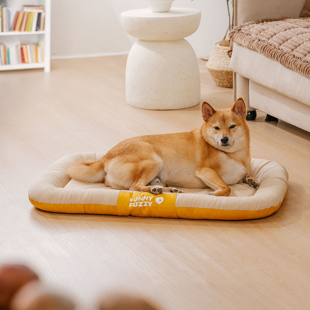 Manta ortopédica para perros resistente al agua y a los arañazos de colores bloqueados para exteriores - Trek Lounge