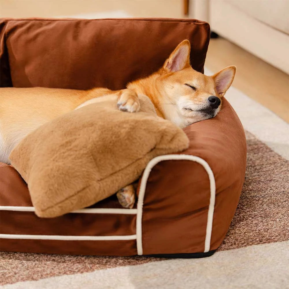 Deluxe Silk Velvet extraíble Bed ortopédico para perros con almohada - Regalrest
