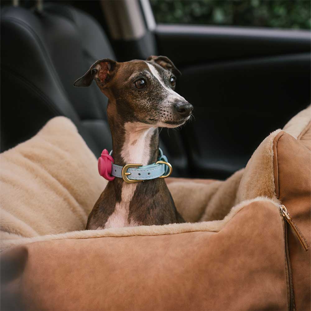 Gran calidez esponjosa Safe Safe Booster Carpher Booster Asiento de asiento y rover Rover