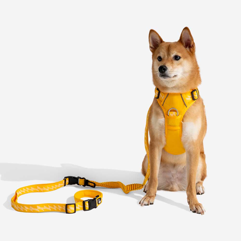 Correo de perros de nylon de mango suave versátil de doble lado de doble cara - Caminador flexible