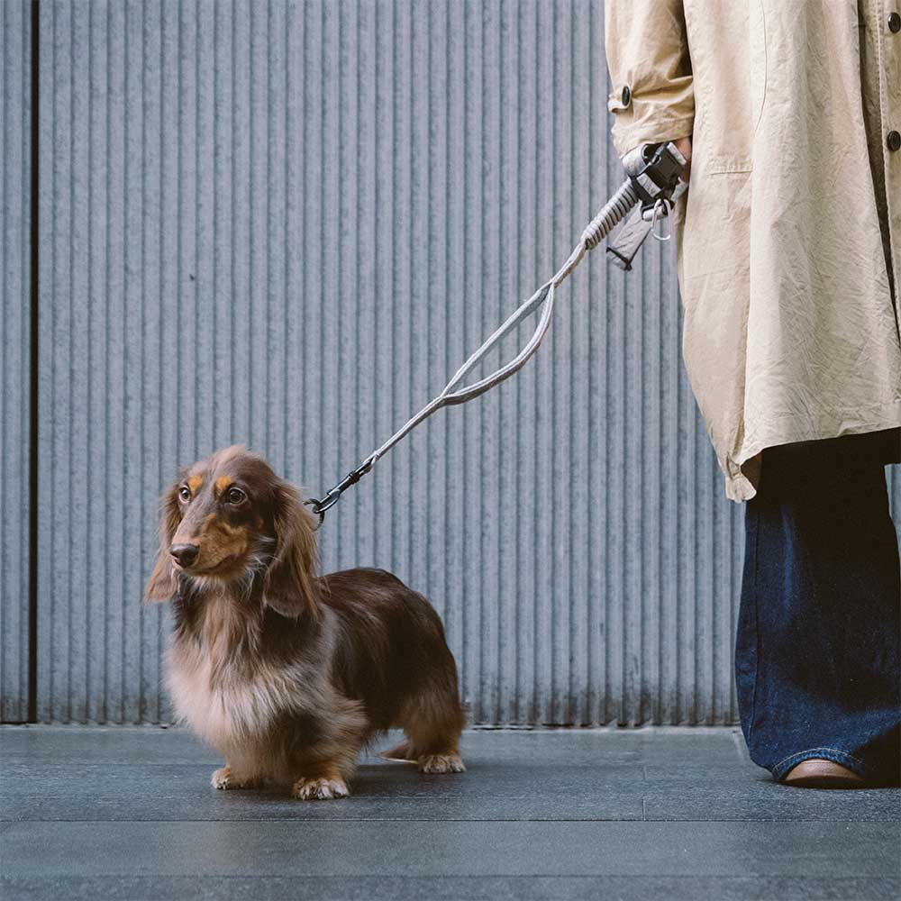 Correo de perros de nylon de mango suave versátil de doble lado de doble cara - Caminador flexible