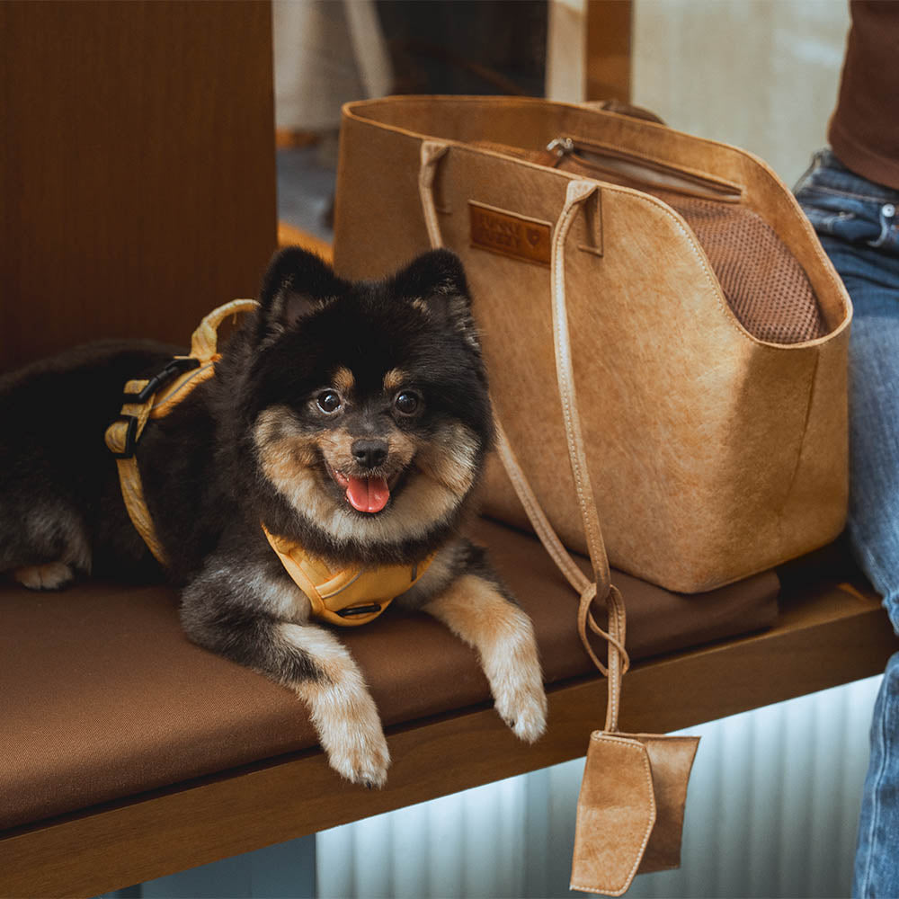 Transportín para mascotas impermeable y ecológico Dupont Vogue - City Roamer