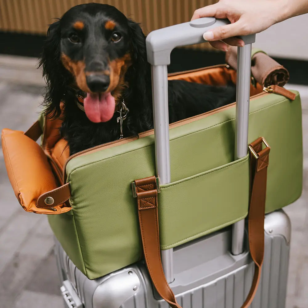 Asiento para mascotas y transportadora de cuero sintético de lujo para el consola de seguridad del automóvil - Urban Voyager