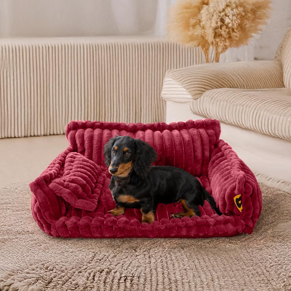 Gran almohada de perros suaves y esponjosas lavables con almohada de perro suave para perros sofá sofa-snozy sueño