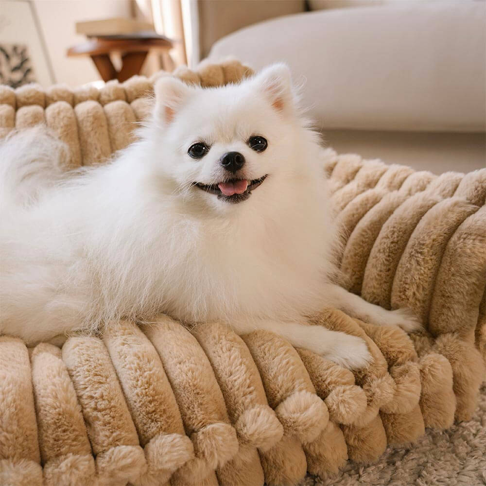 Gran almohada de perros suaves y esponjosas lavables con almohada de perro suave para perros sofá sofa-snozy sueño