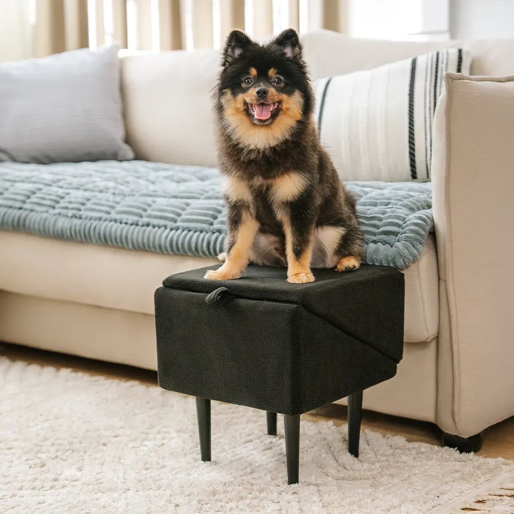 Escalera para perros en forma de rampa de madera convertible 2 en 1