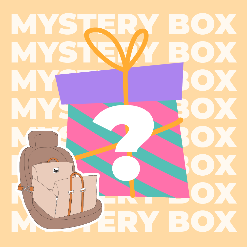 Kit de viagem seguro para cães com até 15 kg - $ 220 VALOR MYSTERY BOX
