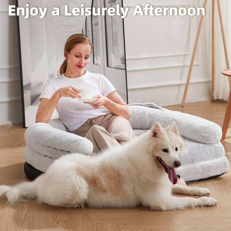 Cama de perros de perro grande y lujoso cama humana plegable