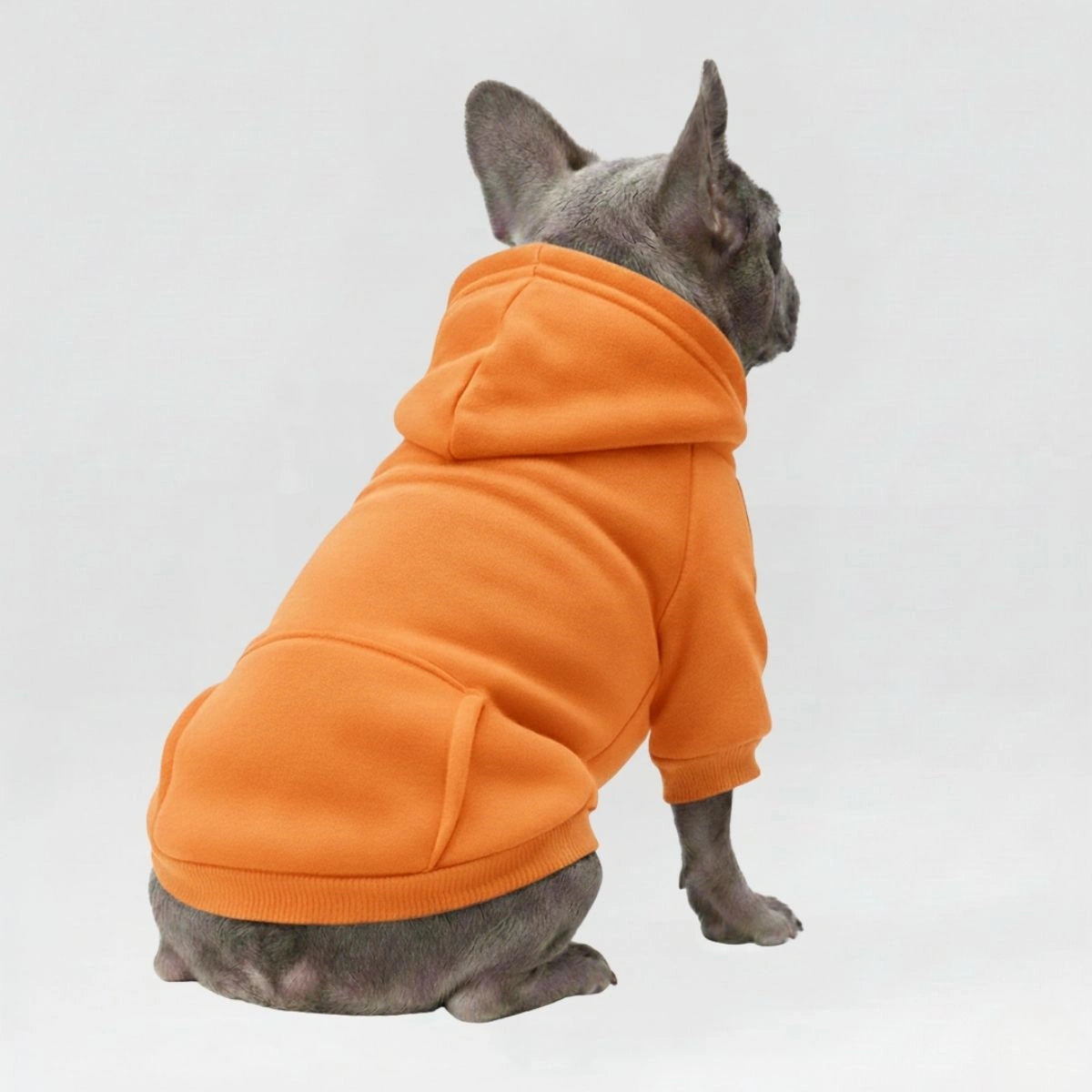 <tc>Color</tc>Sudaderas con capucha acogedoras y bonitas para perros: perfectas para la comodidad en todo tipo de clima