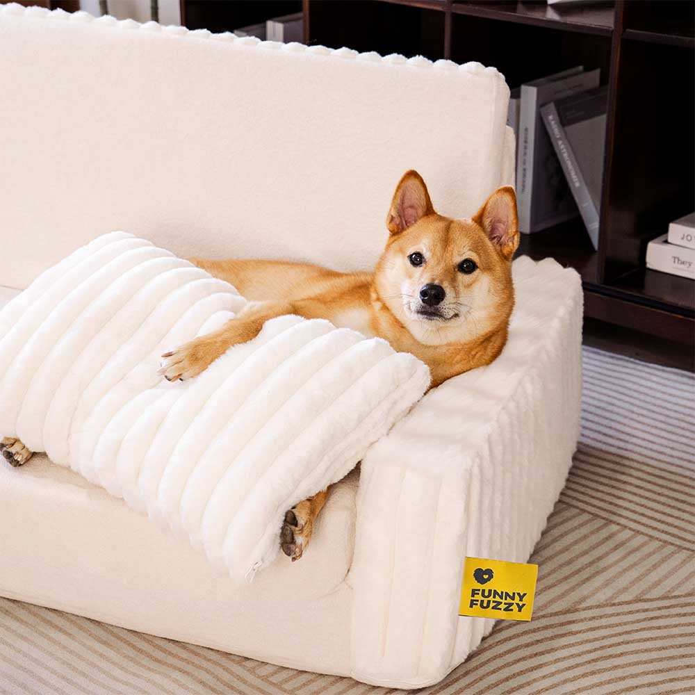 Cama ortopédica para humanos y perros con relleno cremoso y esponjoso: comodidad expandible