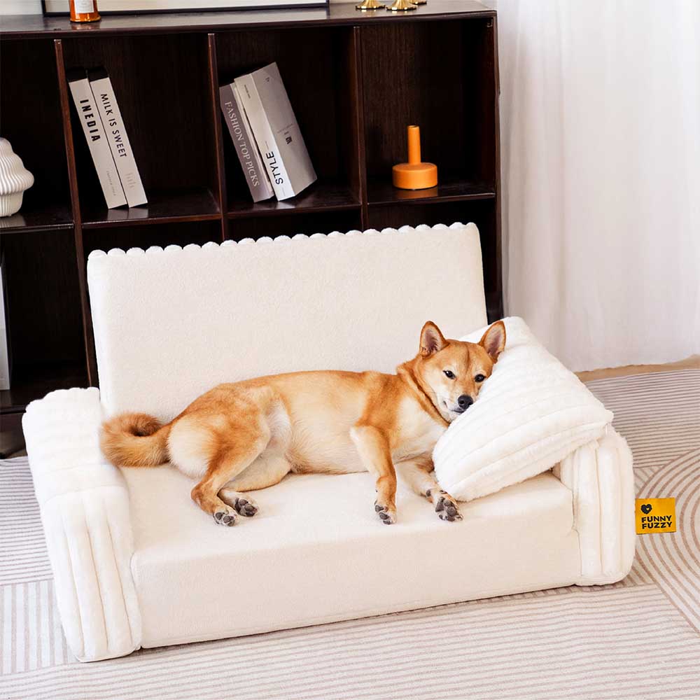 Cama ortopédica para humanos y perros con relleno cremoso y esponjoso: comodidad expandible