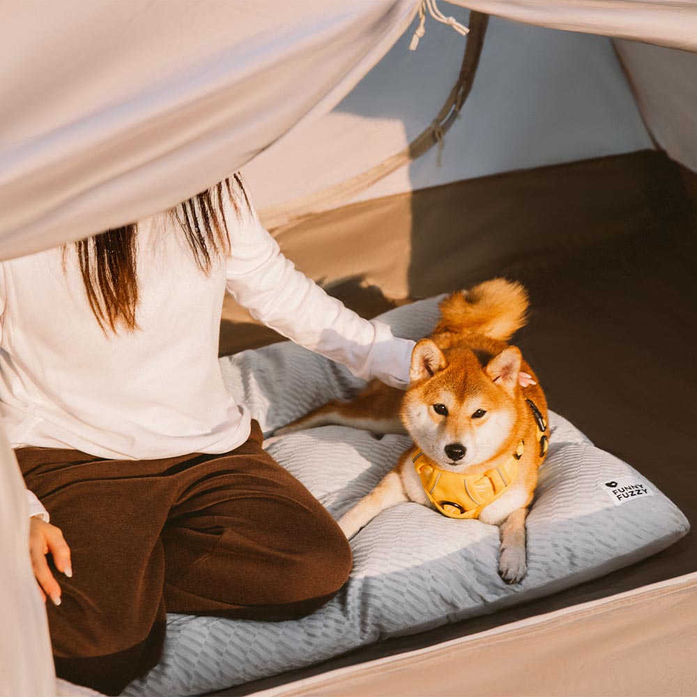 Esterilla relajante lavable de felpa de doble cara para gatos