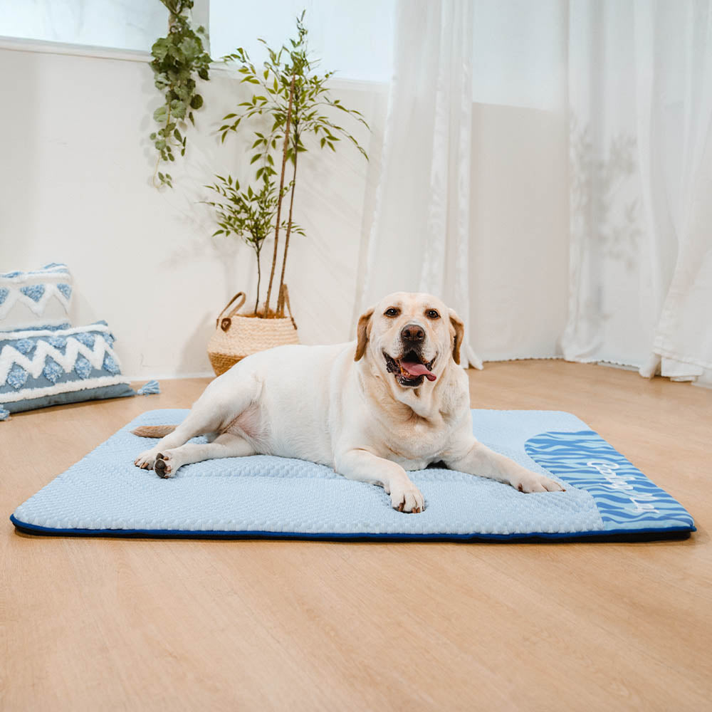Alfombrilla para perros grande, lavable, antideslizante - Siesta refrescante