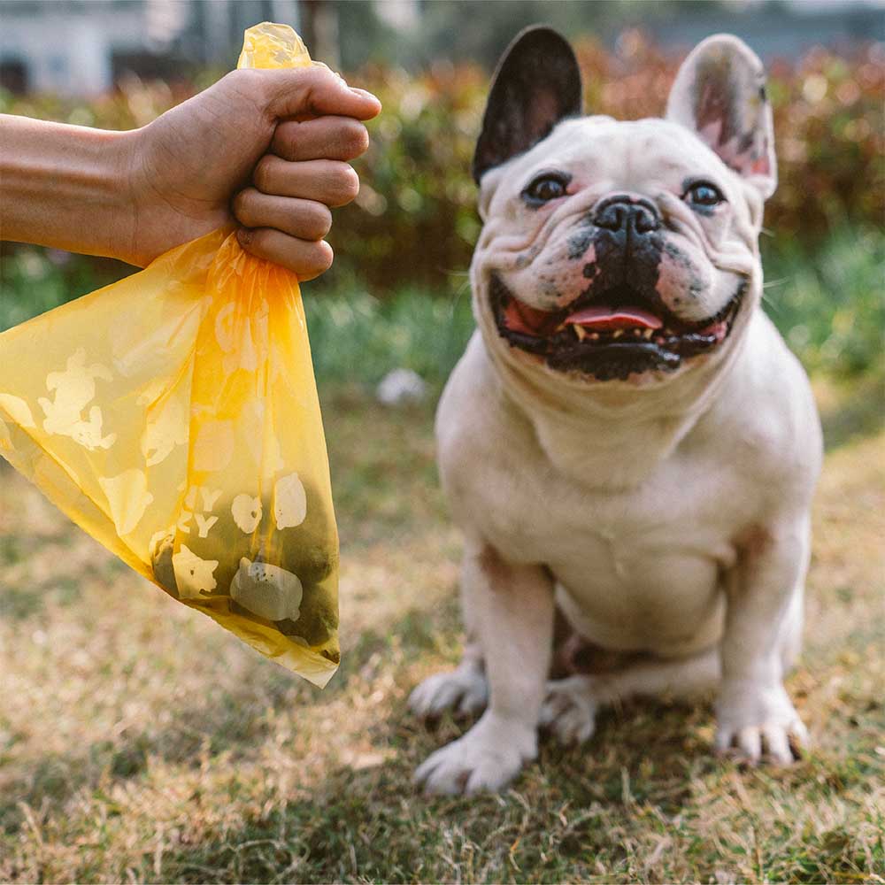 Bolsas de caca recicladas duraderas perfumadas de limón - fresco