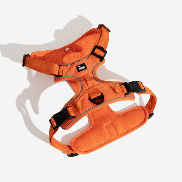 Funnyfuzzy reflectante mazo de perros al aire libre ajustable - Flexi Walker