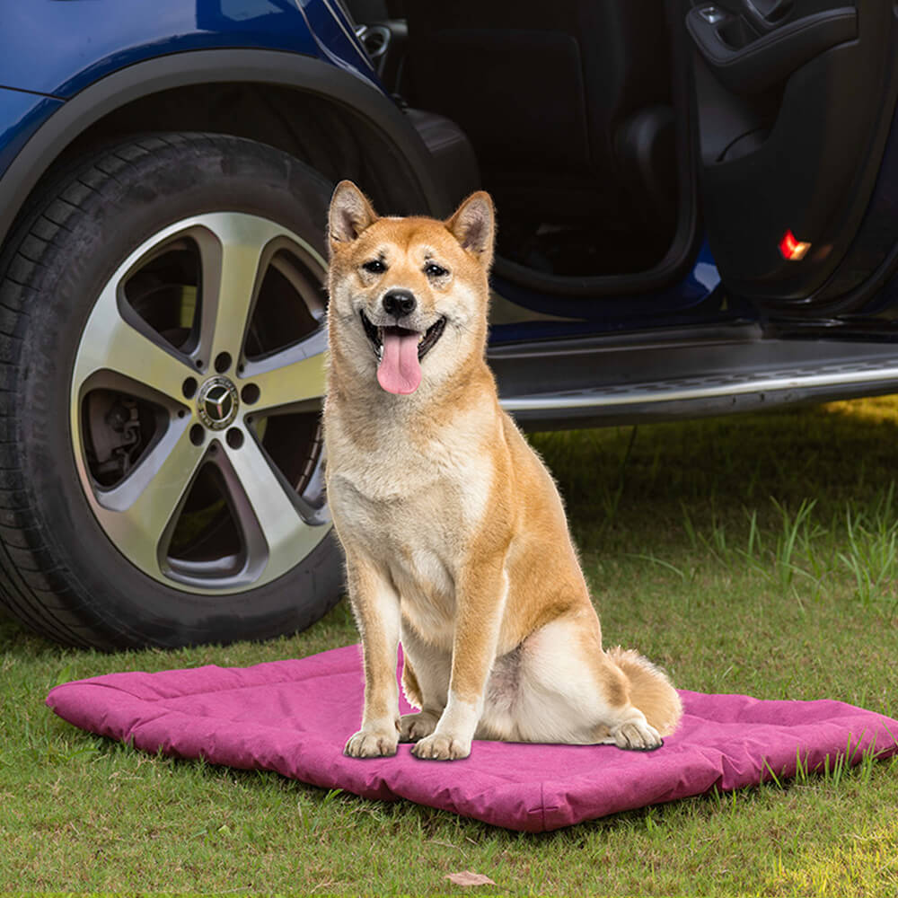 Estera de mascotas plegable y resistente al agua estilo utilitario para exteriores, para auto y camping