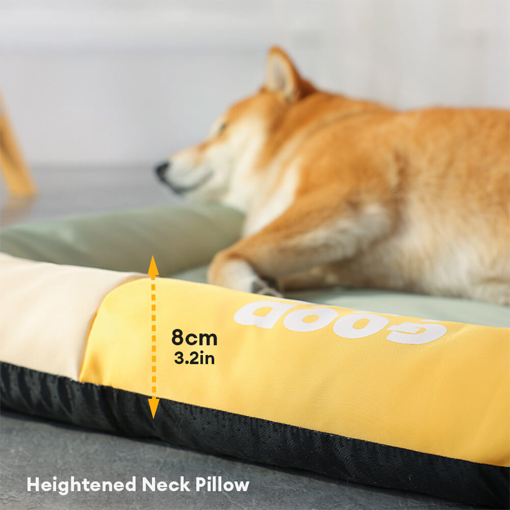 <tc>Color</tc>Tapete para perros Block, impermeable, resistente a arañazos y para todas las estaciones