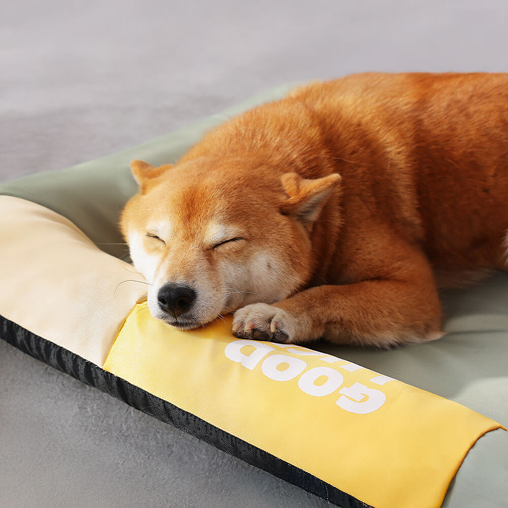 <tc>Color</tc>Tapete para perros Block, impermeable, resistente a arañazos y para todas las estaciones