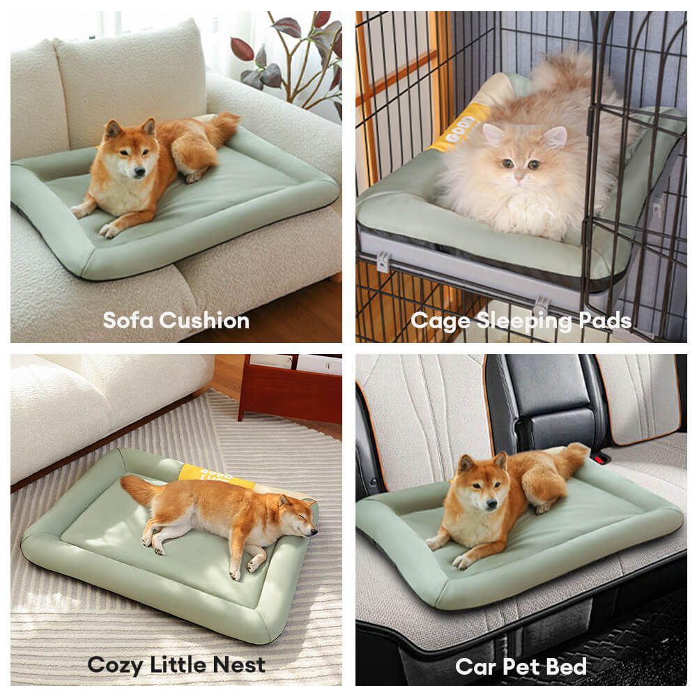 <tc>Color</tc>Tapete para perros Block, impermeable, resistente a arañazos y para todas las estaciones
