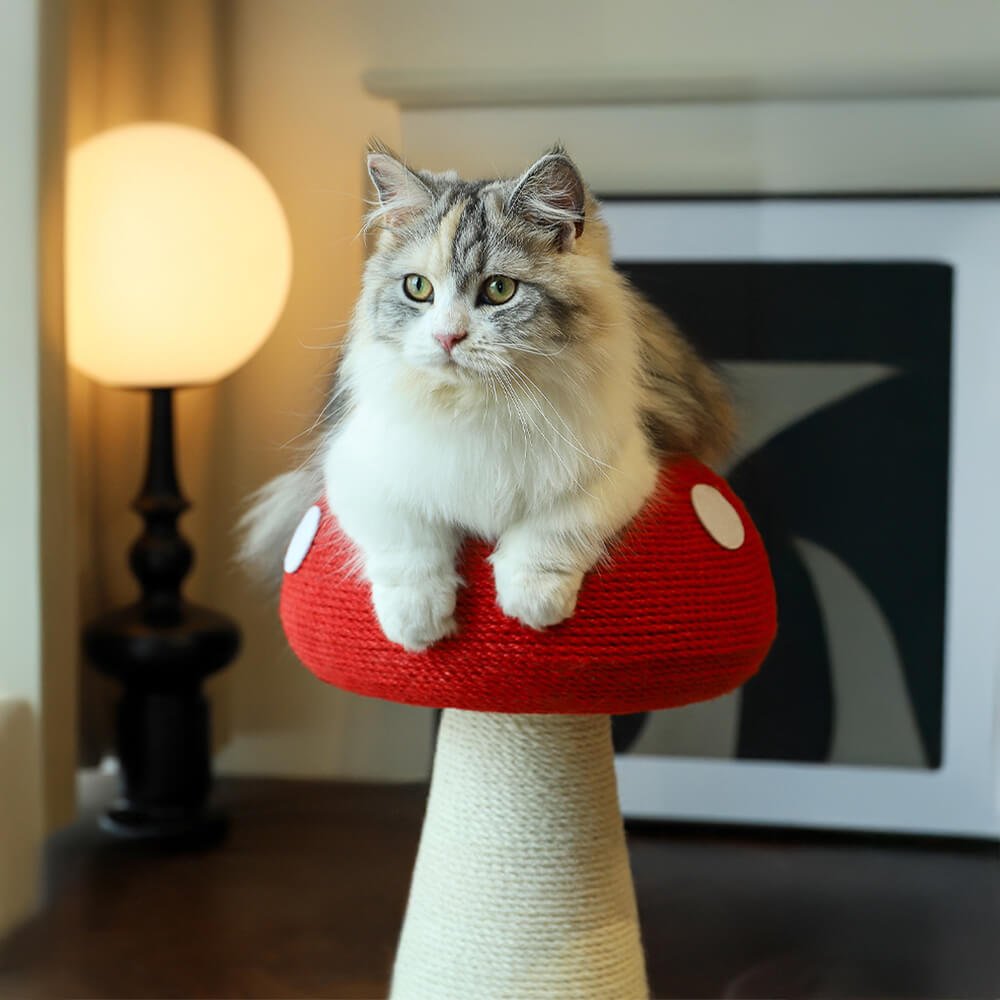Poste de rasguño de sisal natural en forma de hongo para gatos grandes