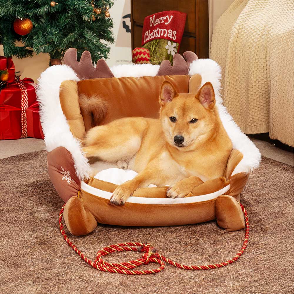Cama festiva y acogedora para perros: trineo navideño