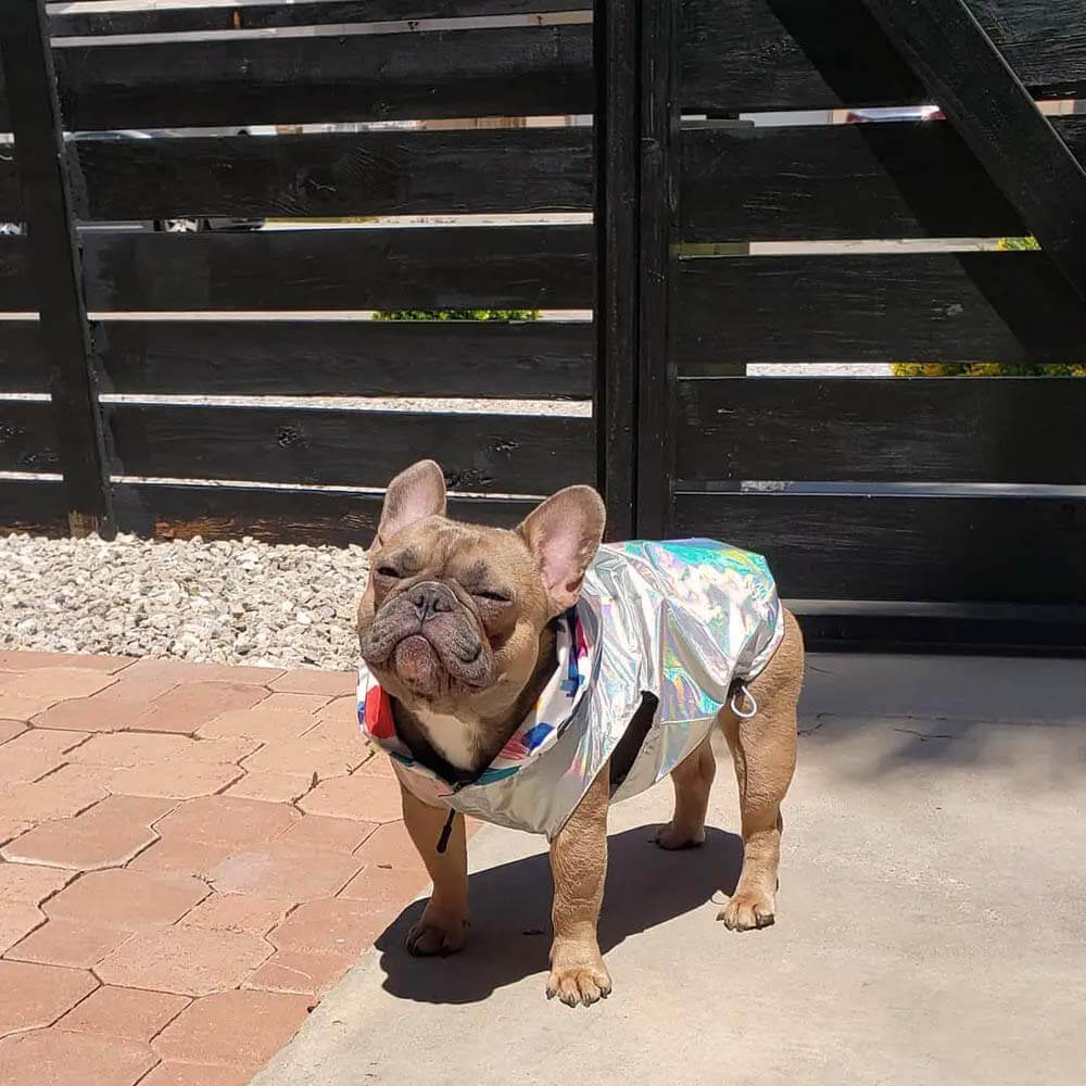 Chubasqueros reversibles impermeables para perros - Grafiti & Iridiscente