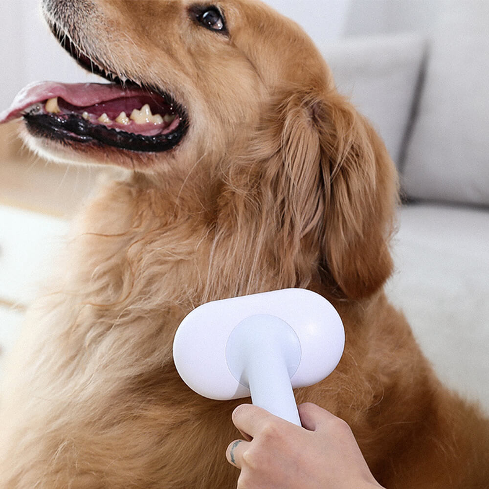 Kit de aseo para mascotas: cepillo autolimpiante 5 en 1 para perros y gatos