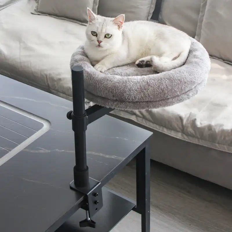 Hamaca para gatos de oficina ajustable y giratoria con soporte de hierro