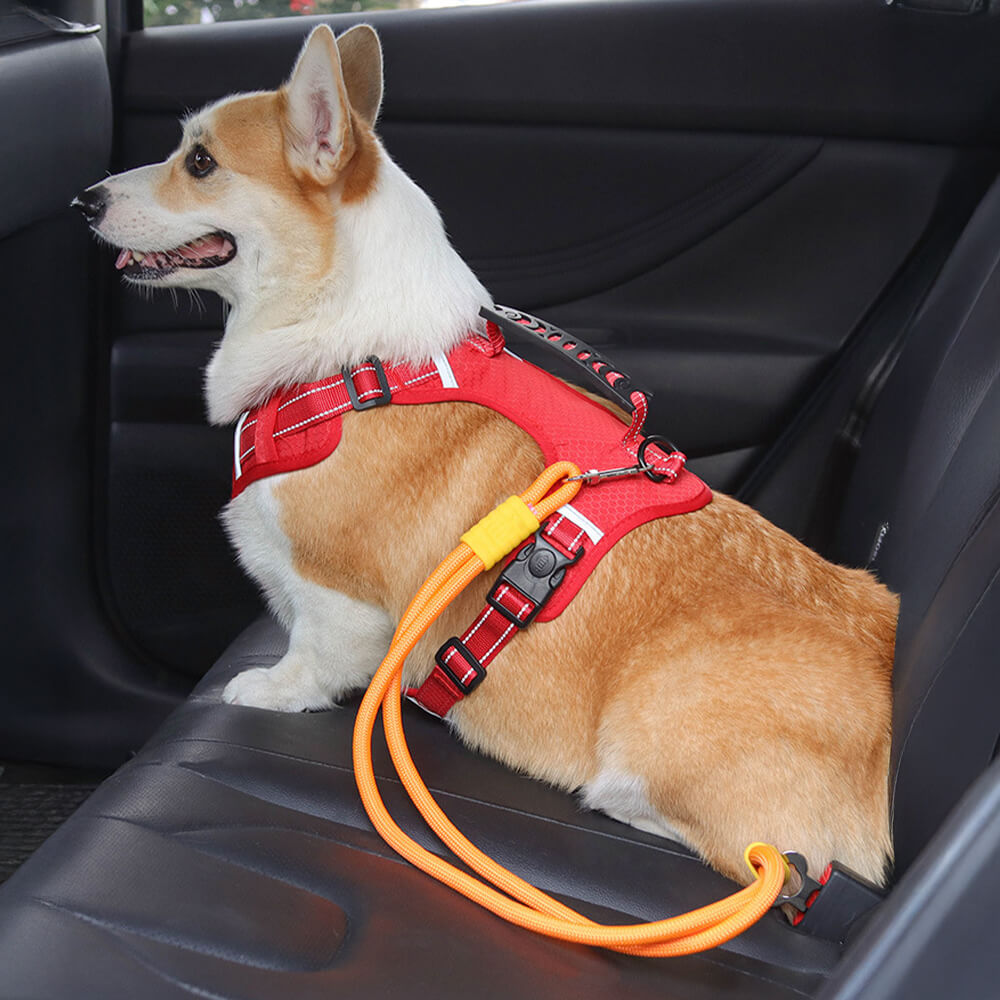 Cinturón de seguridad para perro de nailon antidesgarro para asiento de coche