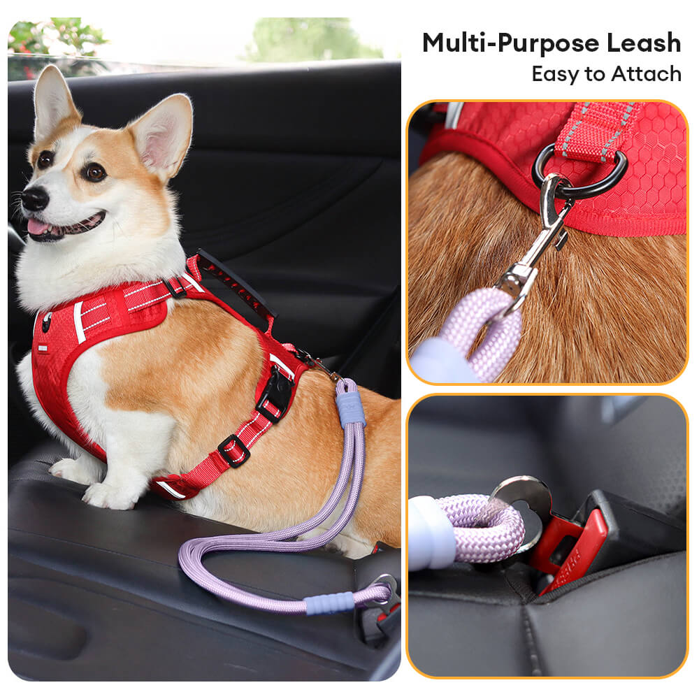 Cinturón de seguridad para perro de nailon antidesgarro para asiento de coche