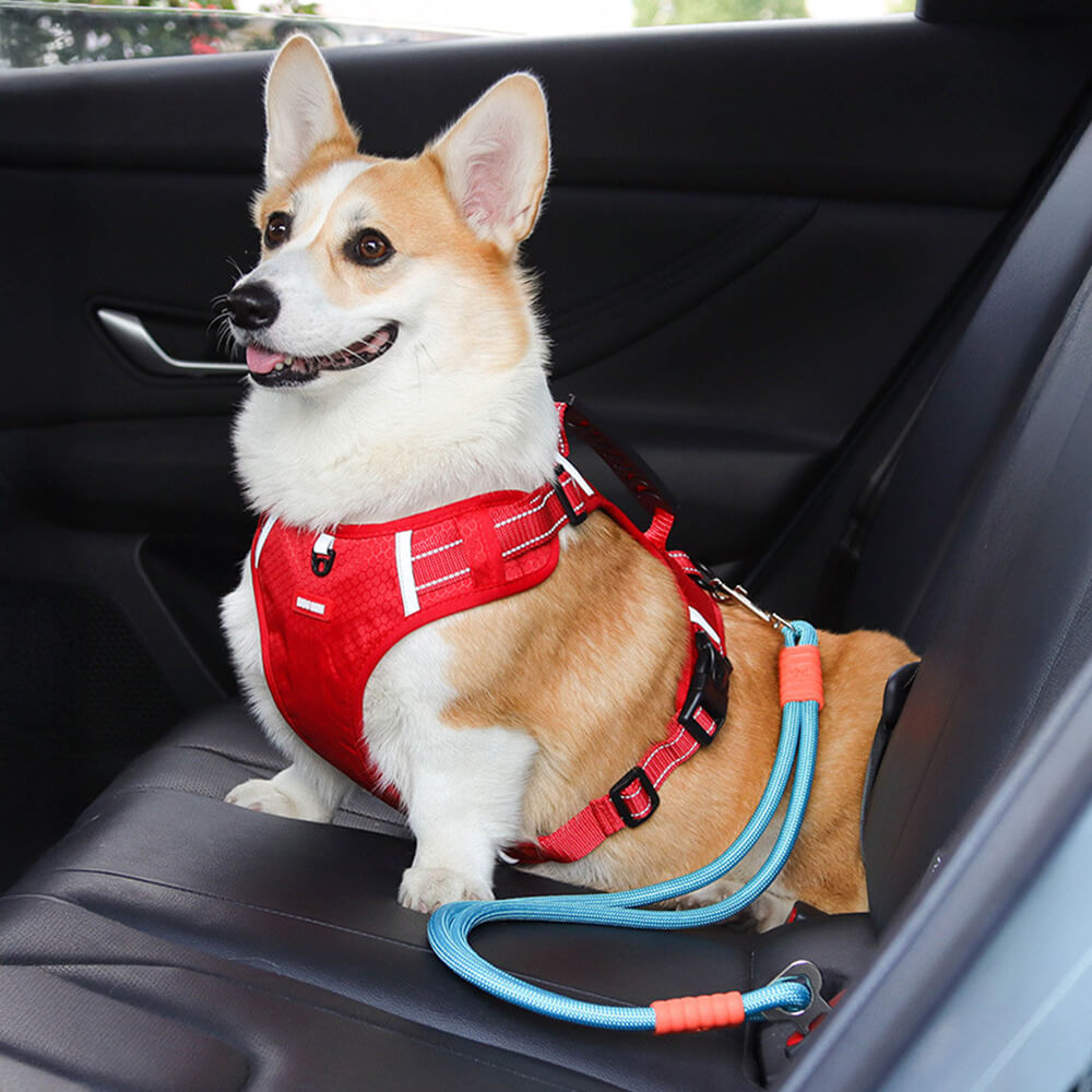 Cinturón de seguridad para perro de nailon antidesgarro para asiento de coche