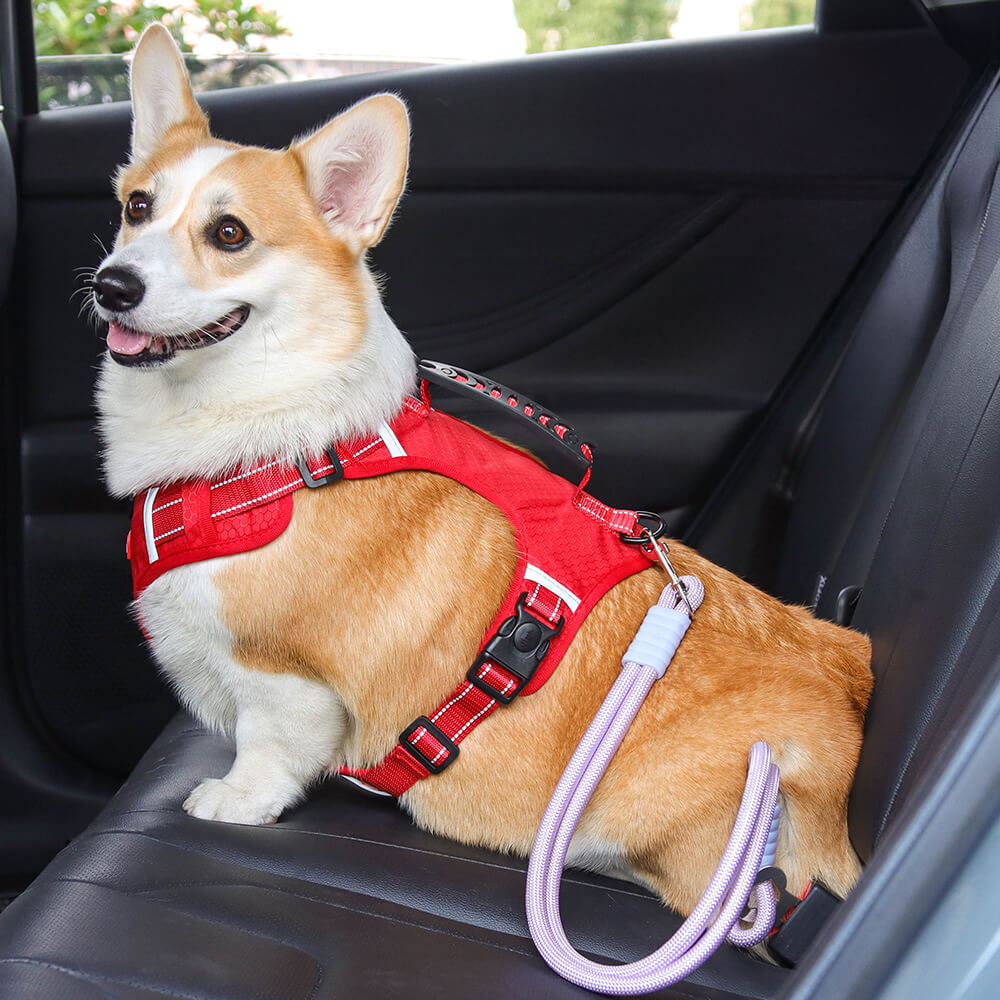 Cinturón de seguridad para perro de nailon antidesgarro para asiento de coche