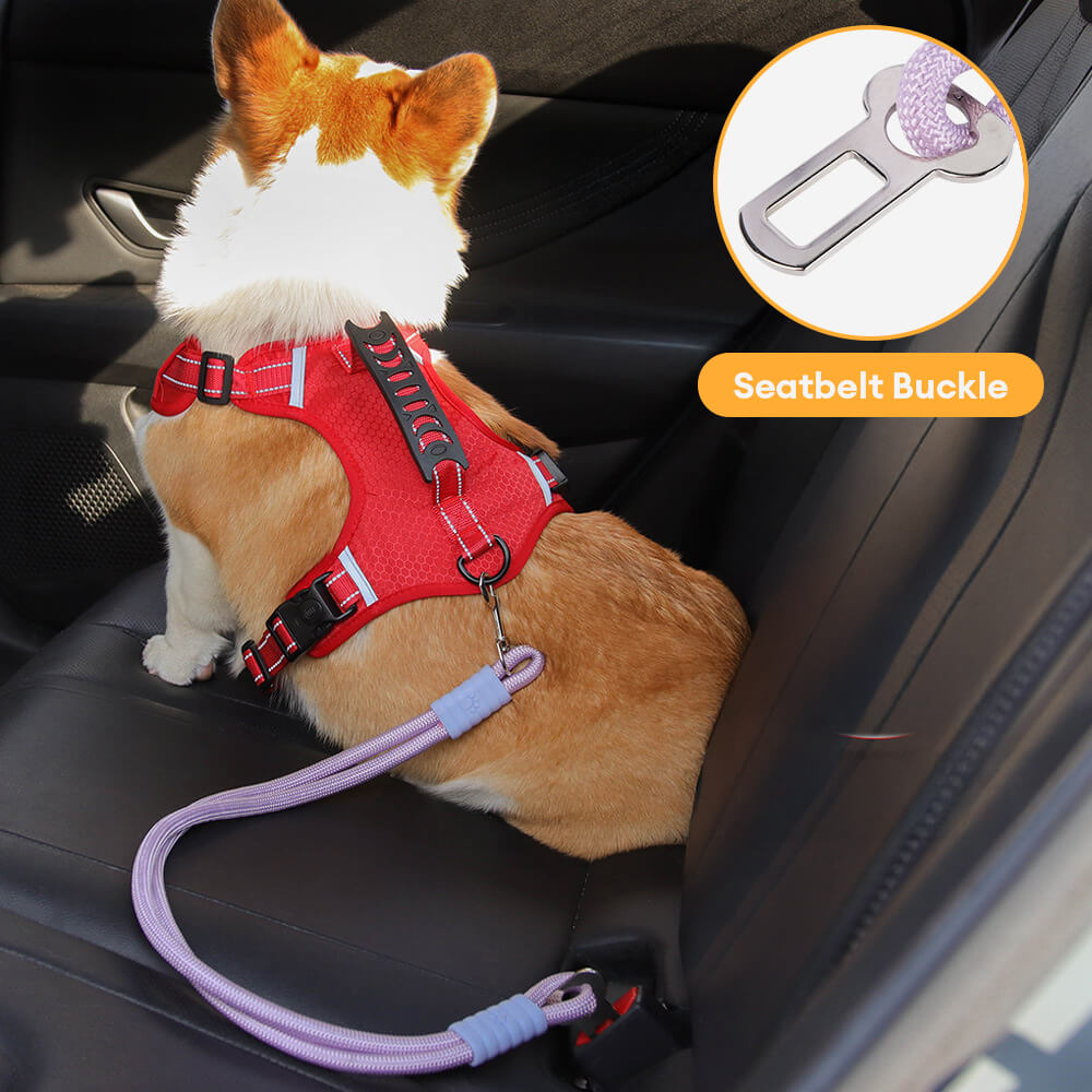 Cinturón de seguridad para perro de nailon antidesgarro para asiento de coche
