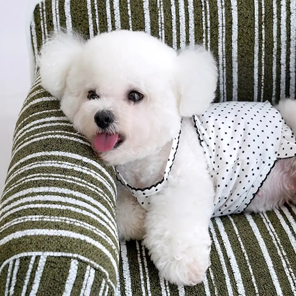 Sofá cama para perros de terciopelo jacquard de chenilla a rayas para cachorros