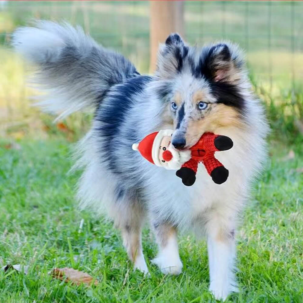Toy de perro de perros interactivo de chirrido de goma de muñeca de muñeca de Navidad