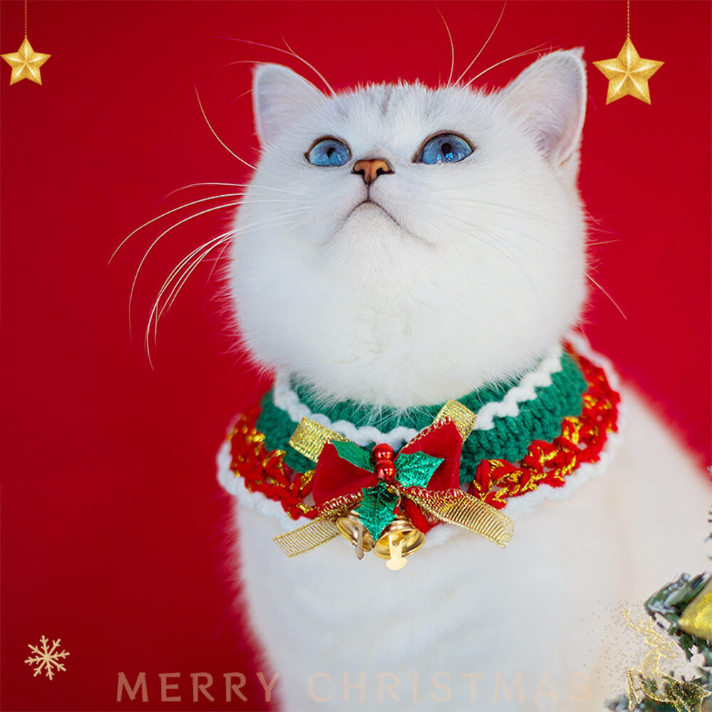 Christmas Santa Claus Buffes de punto de punto para mascota y propietario