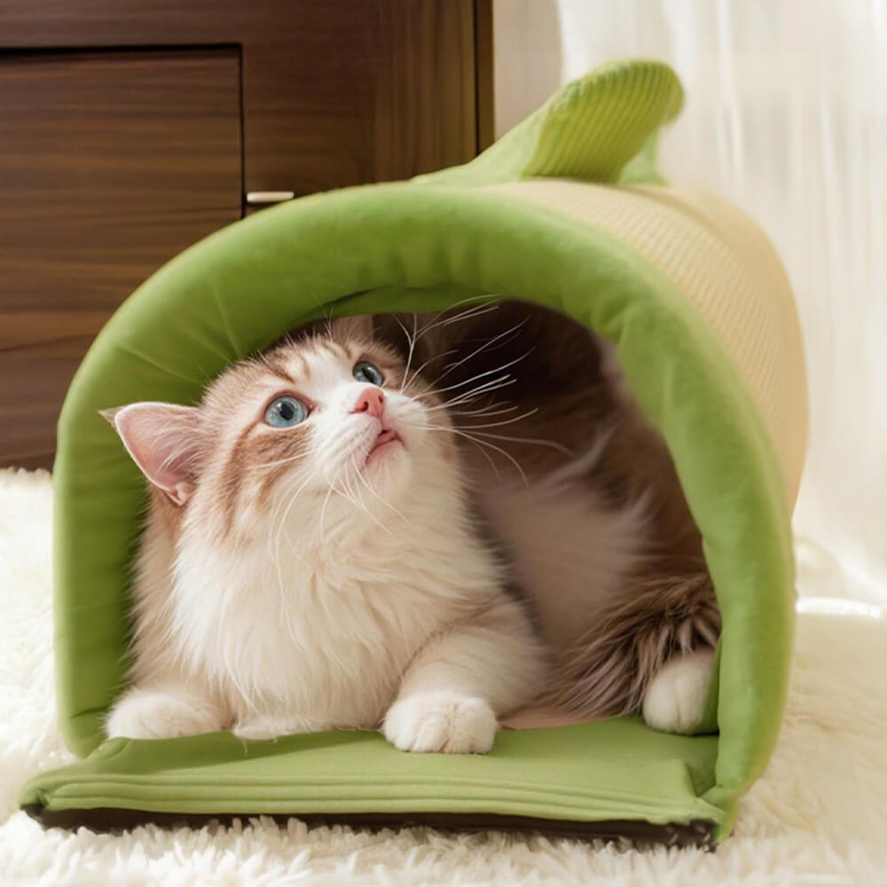 Cama túnel para gatos acogedora y espaciosa para jugar y dormir