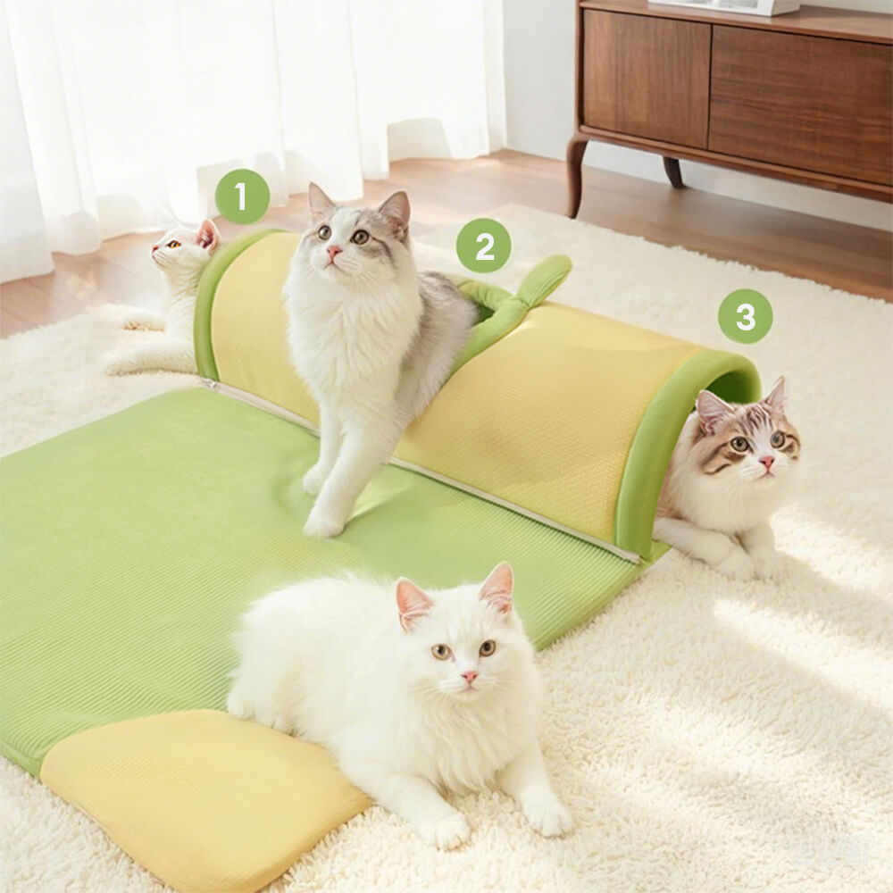 Cama túnel para gatos acogedora y espaciosa para jugar y dormir