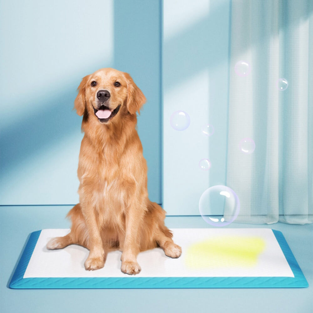 Almohadilla de entrenamiento de orina de perros: almohadillas de mascotas desechables absorbentes y a prueba de fugas