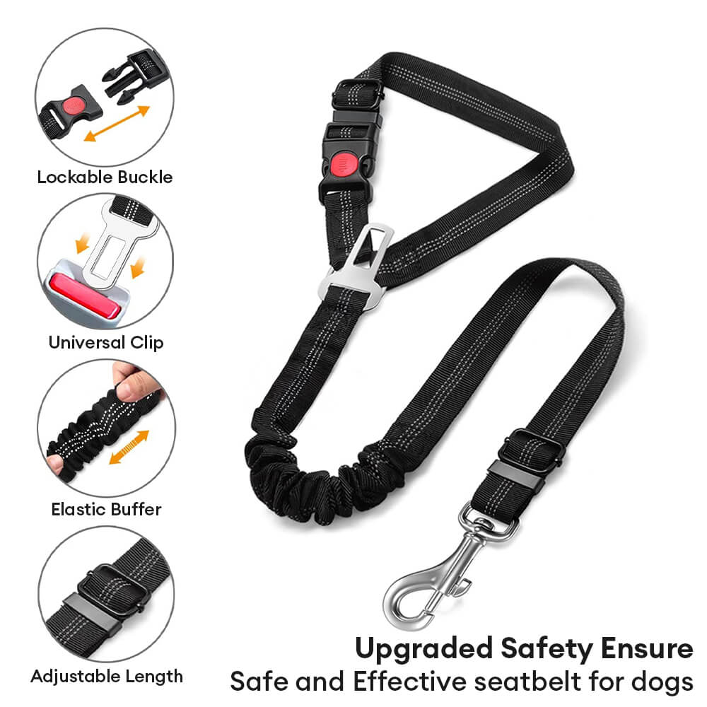 Cinturón de seguridad para perro para reposacabezas de vehículo