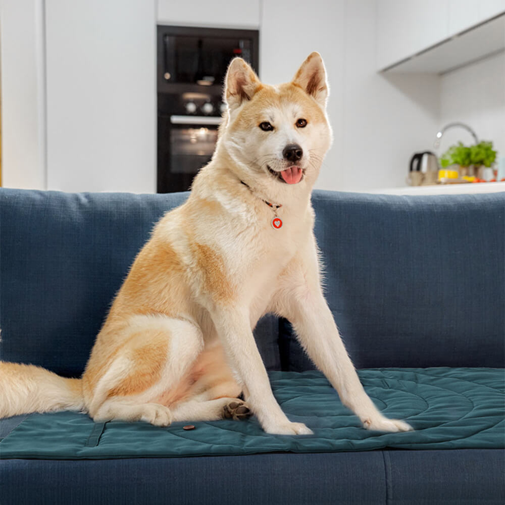 Alfombra de acampar para perros plegable para perros portátiles impermeables