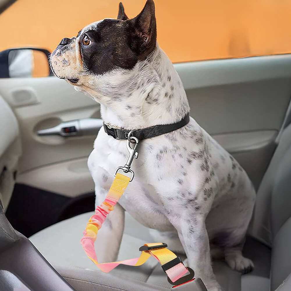 Cinturón de seguridad para mascotas con absorción de impactos elásticos en gradiente