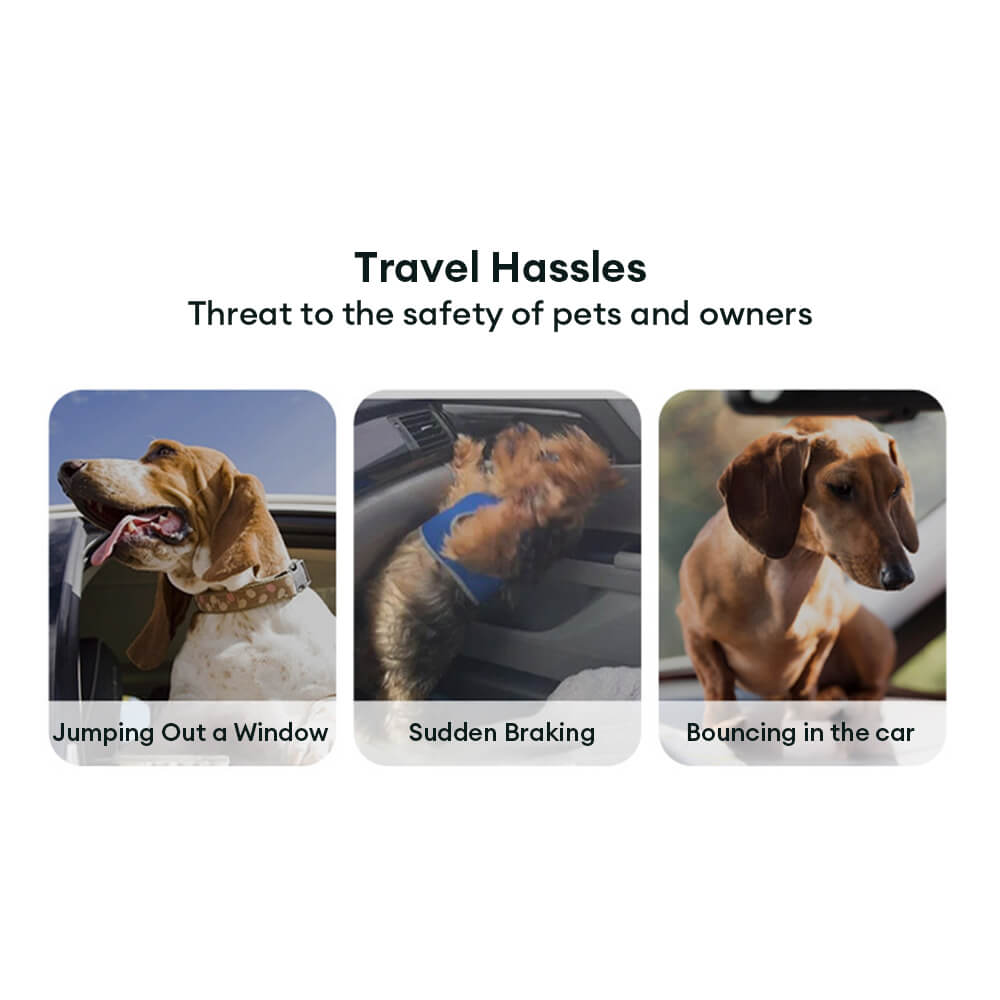 Cinturón de seguridad para mascotas con absorción de impactos elásticos en gradiente