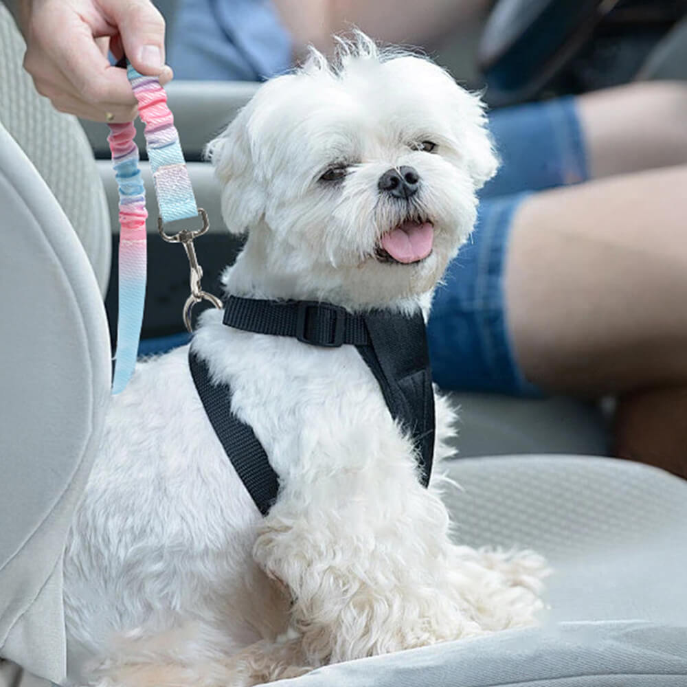 Cinturón de seguridad para mascotas con absorción de impactos elásticos en gradiente