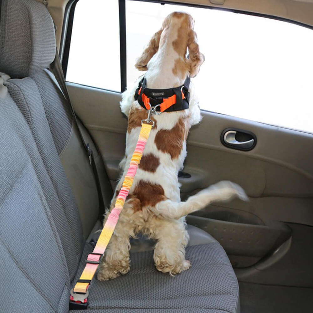 Cinturón de seguridad para mascotas con absorción de impactos elásticos en gradiente
