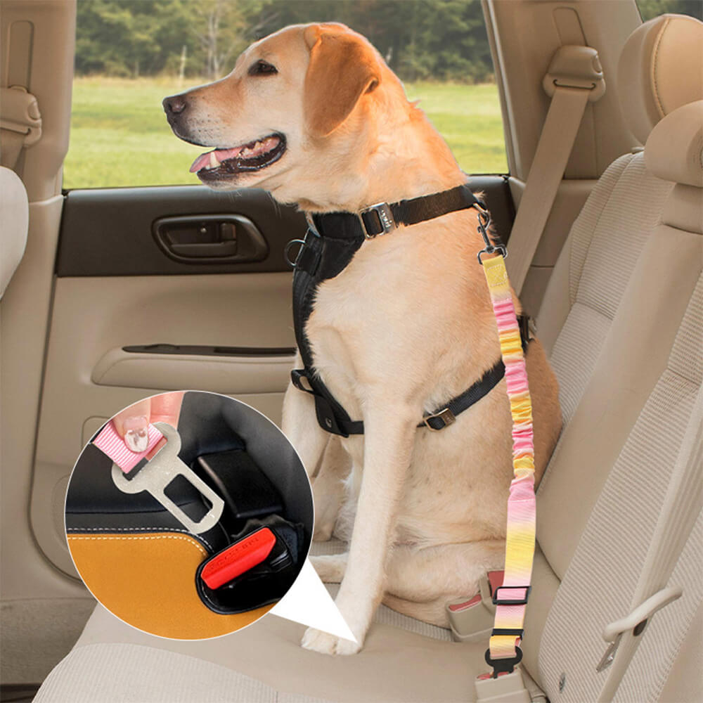 Cinturón de seguridad para mascotas con absorción de impactos elásticos en gradiente