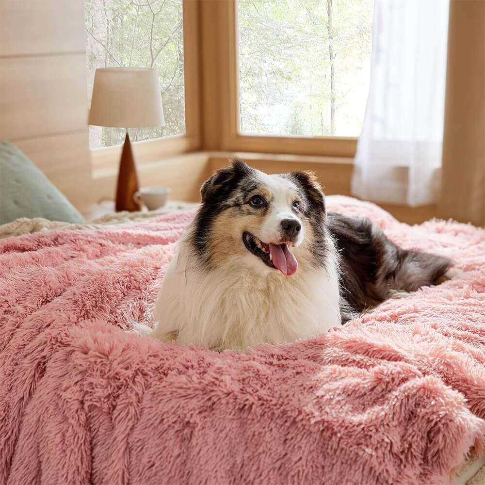 Luxurious Water Water Water Water Plush Warm Warm Multi-Purpose Home Dog Maneta de perros