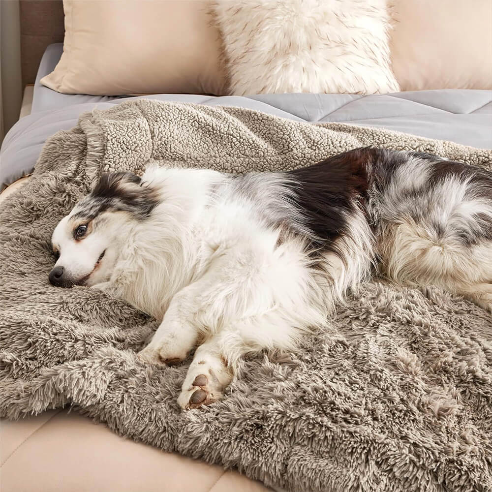 Luxurious Water Water Water Water Plush Warm Warm Multi-Purpose Home Dog Maneta de perros
