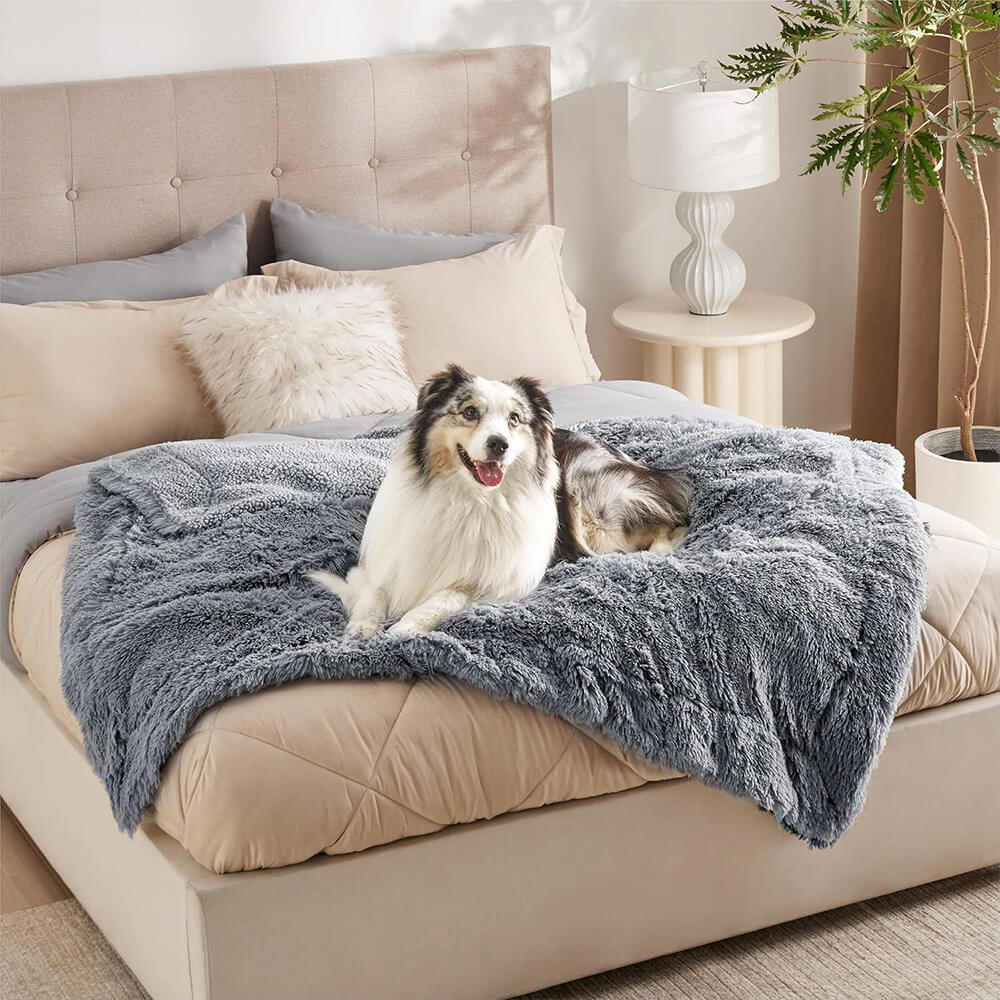 Luxurious Water Water Water Water Plush Warm Warm Multi-Purpose Home Dog Maneta de perros